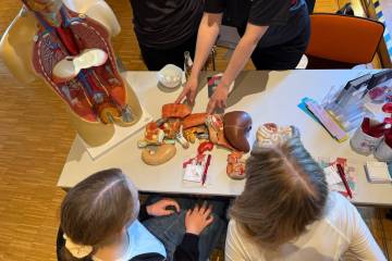 Berufsinfotag am 28. April 2026 in Vlotho